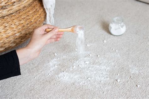 Baking soda and carpet. Things To Know About Baking soda and carpet. 